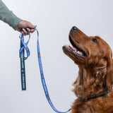Denver Summit FC Pet Leash